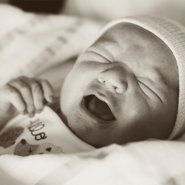Maternity Gallery