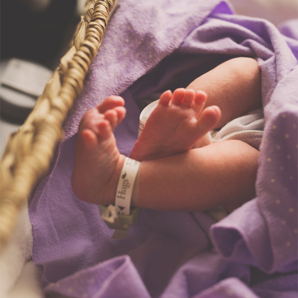 Maternity Gallery